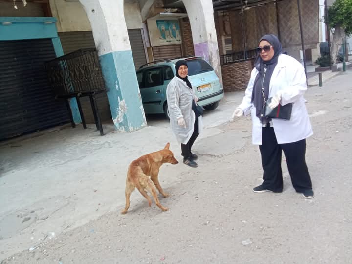 محافظة بورسعيد 