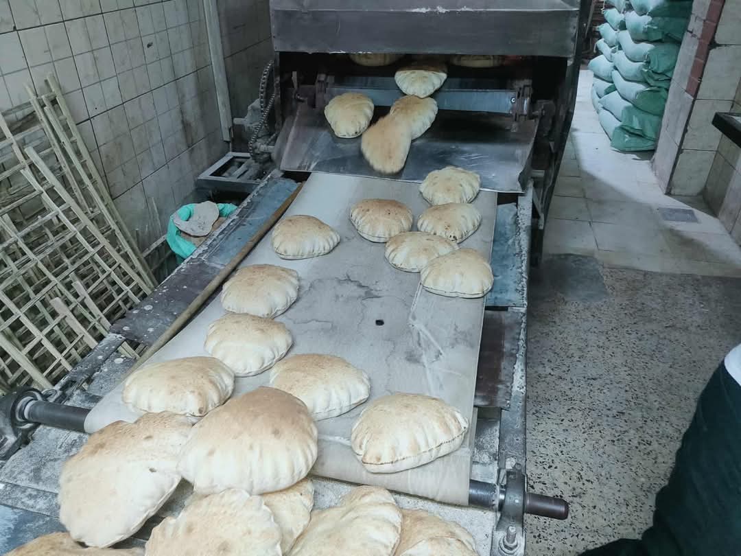 حملة علي مخابز كفر الشيخ 