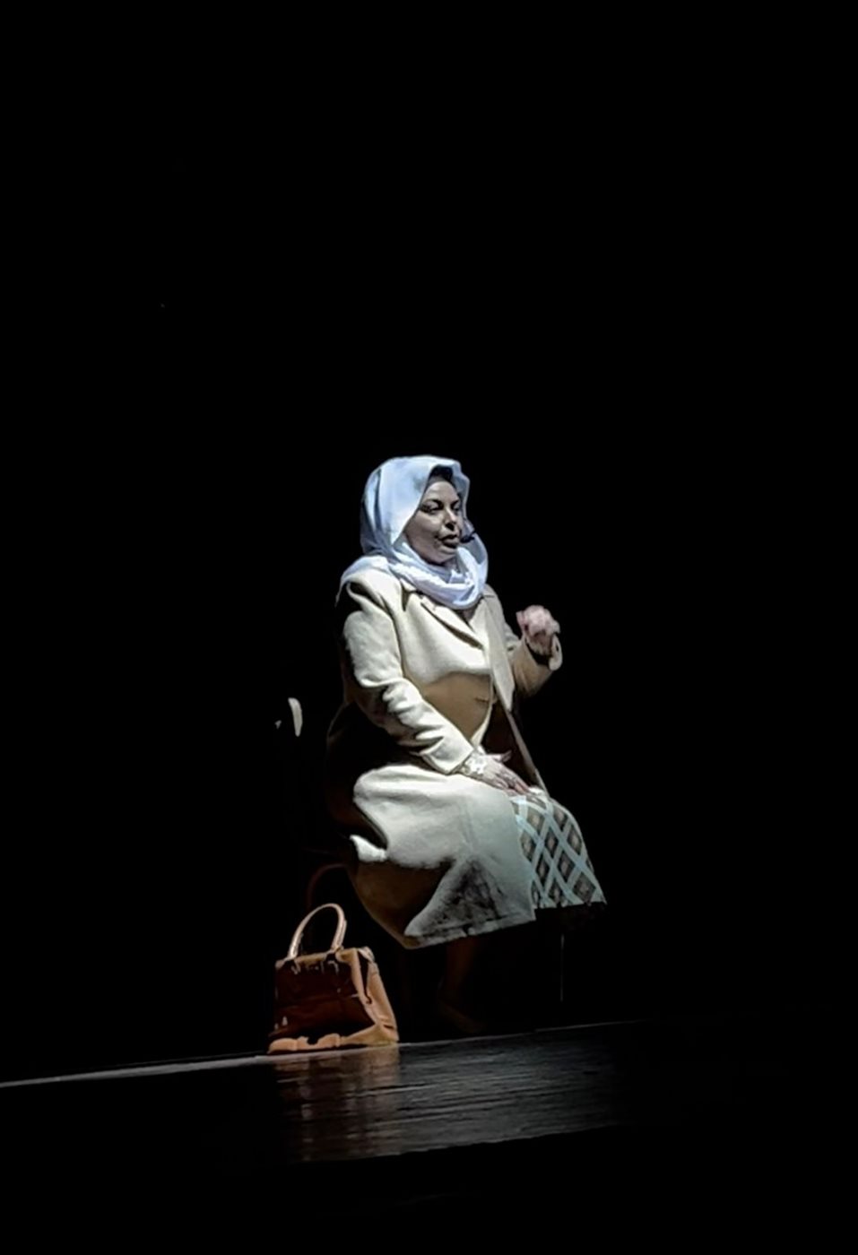 حفل مروة ناجي