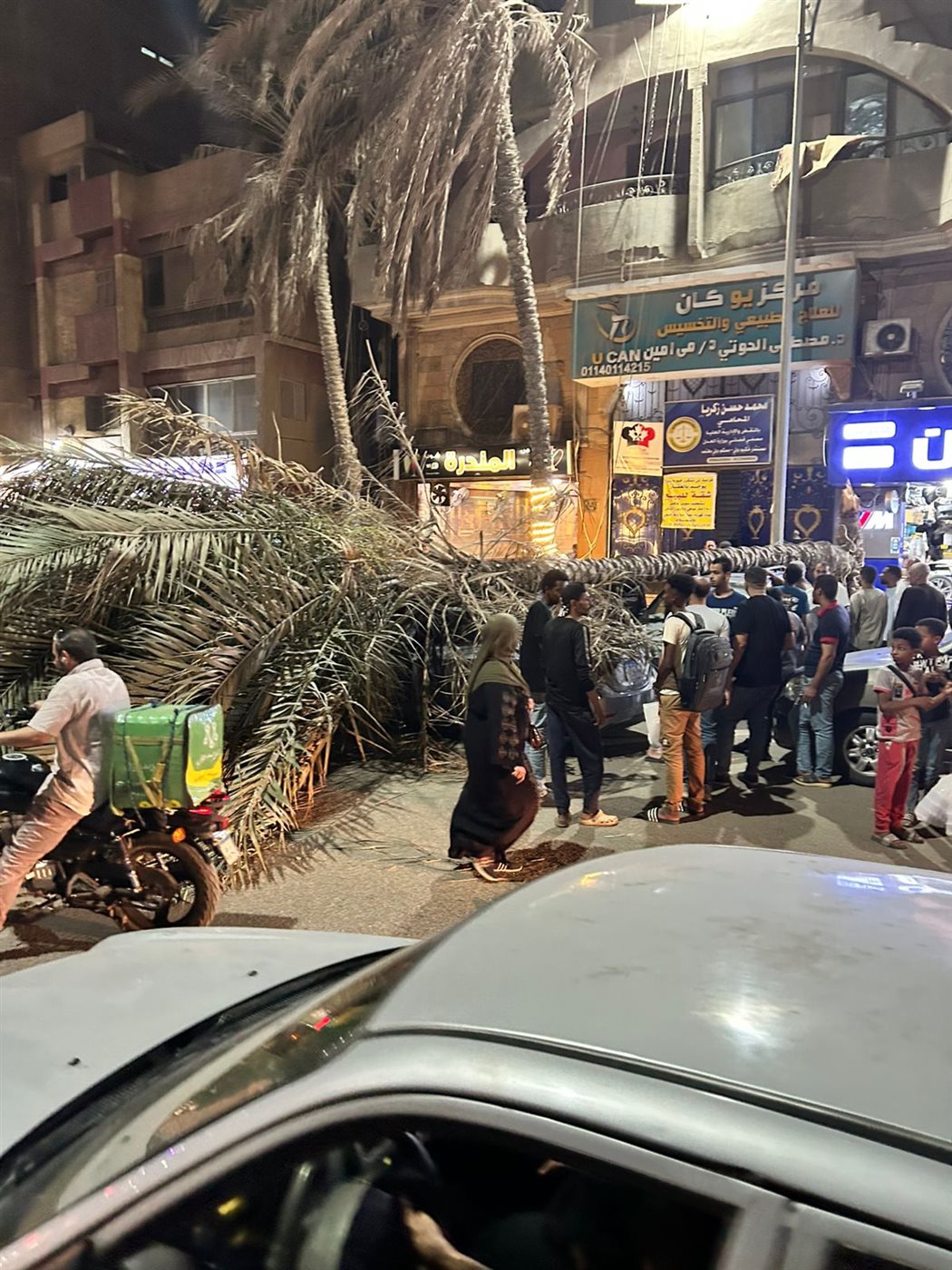 سقوط نخلة على عدد من السيارات 