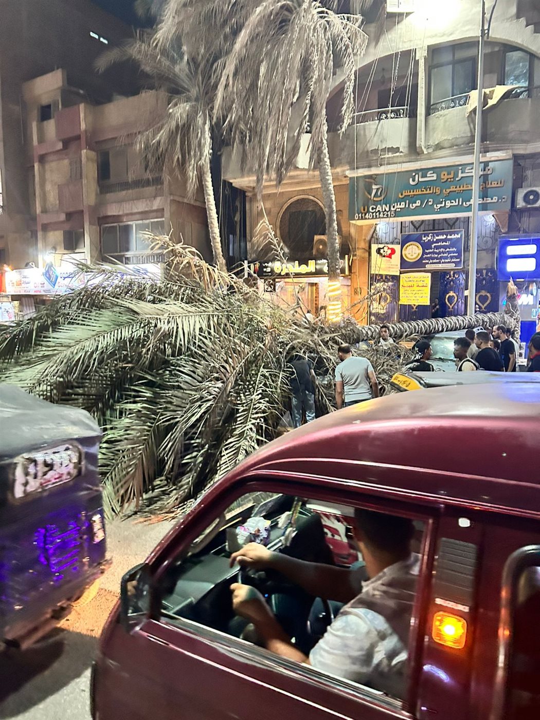 سقوط نخلة على عدد من السيارات 