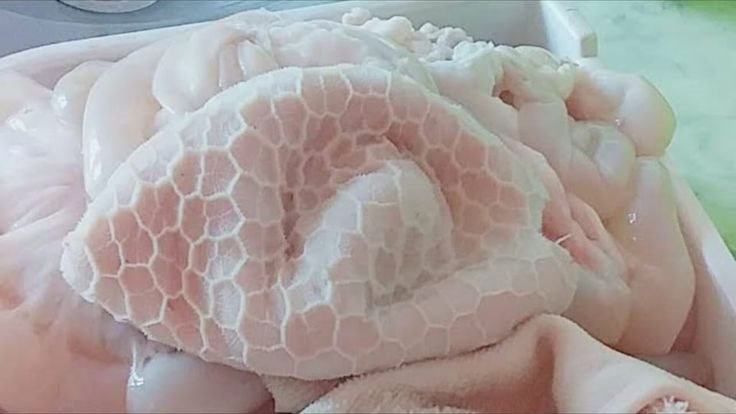 طريقة تنظيف الكرشة بالبيكنج بودر