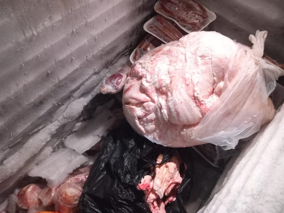 جانب من التفتيش