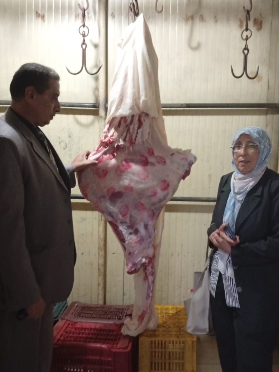 جانب من الحملة 