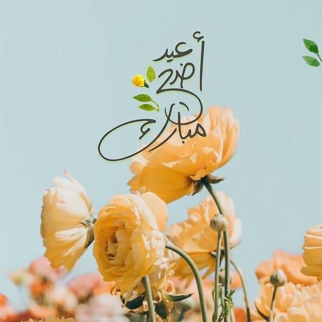 صور تهنئة بعيد الأضحى بدون حقوق نشر