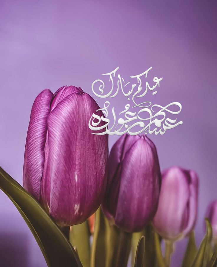 صور تهنئة بعيد الأضحى بدون حقوق نشر