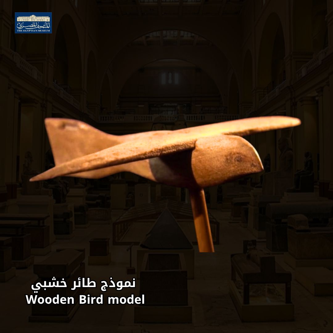 صقر من خشب الجميز 