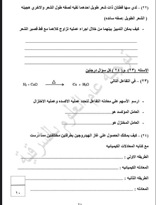 أسئلة متوقعة لامتحانات الصف الثالث الإعدادي الترم الثاني