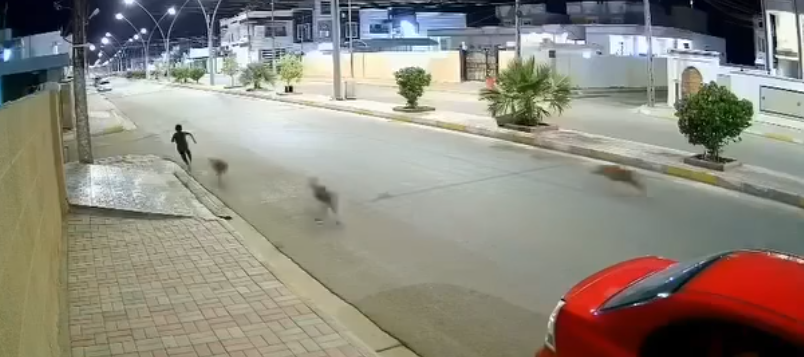 مشهد مؤثر لطفل ينطق بالشهادة خلال مطاردة كلاب أثناء ذهابه لصلاة الفجر