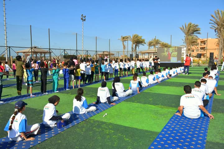 الجهود التنفيذية ببورسعيد 