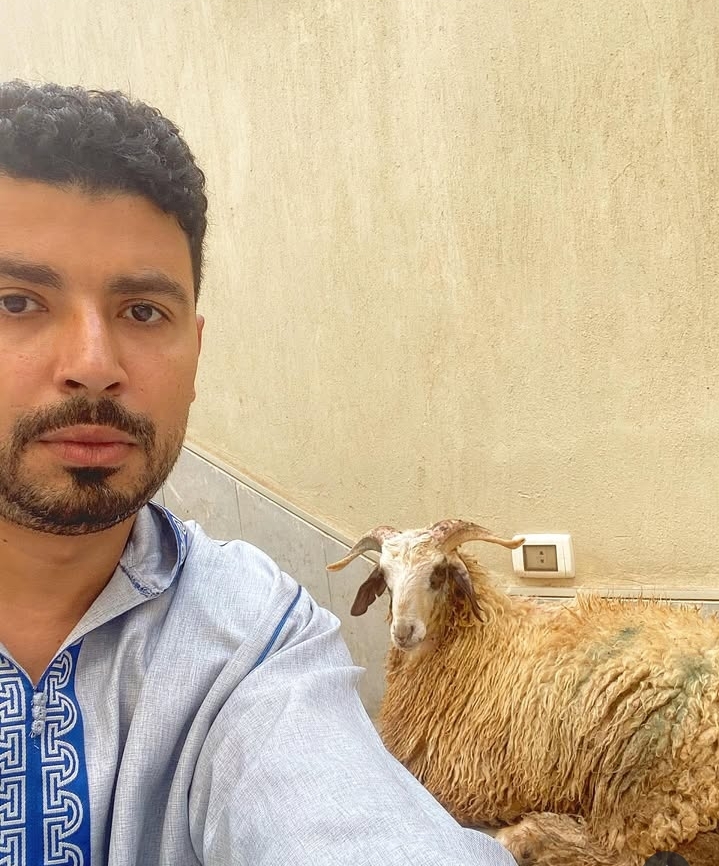 الفنان محمد أنور