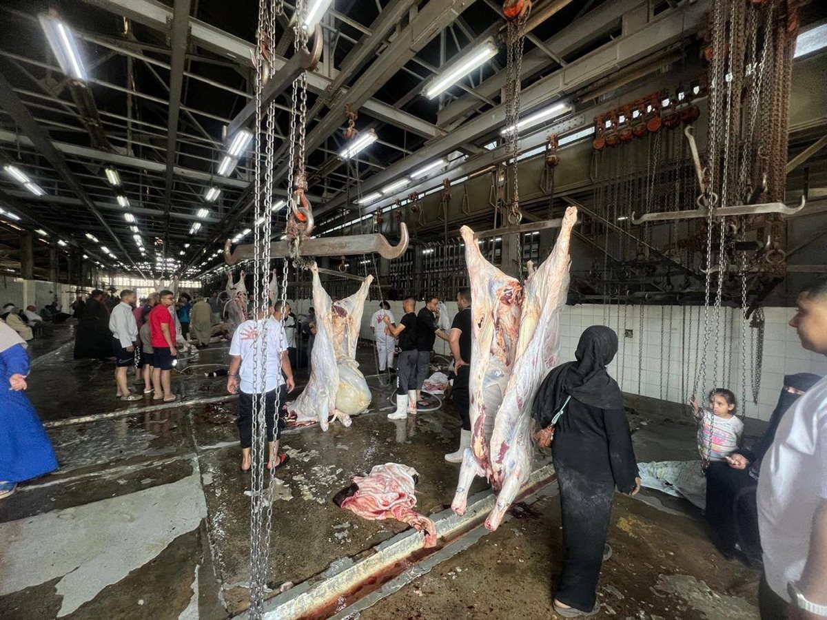 المجازر الحكومية 