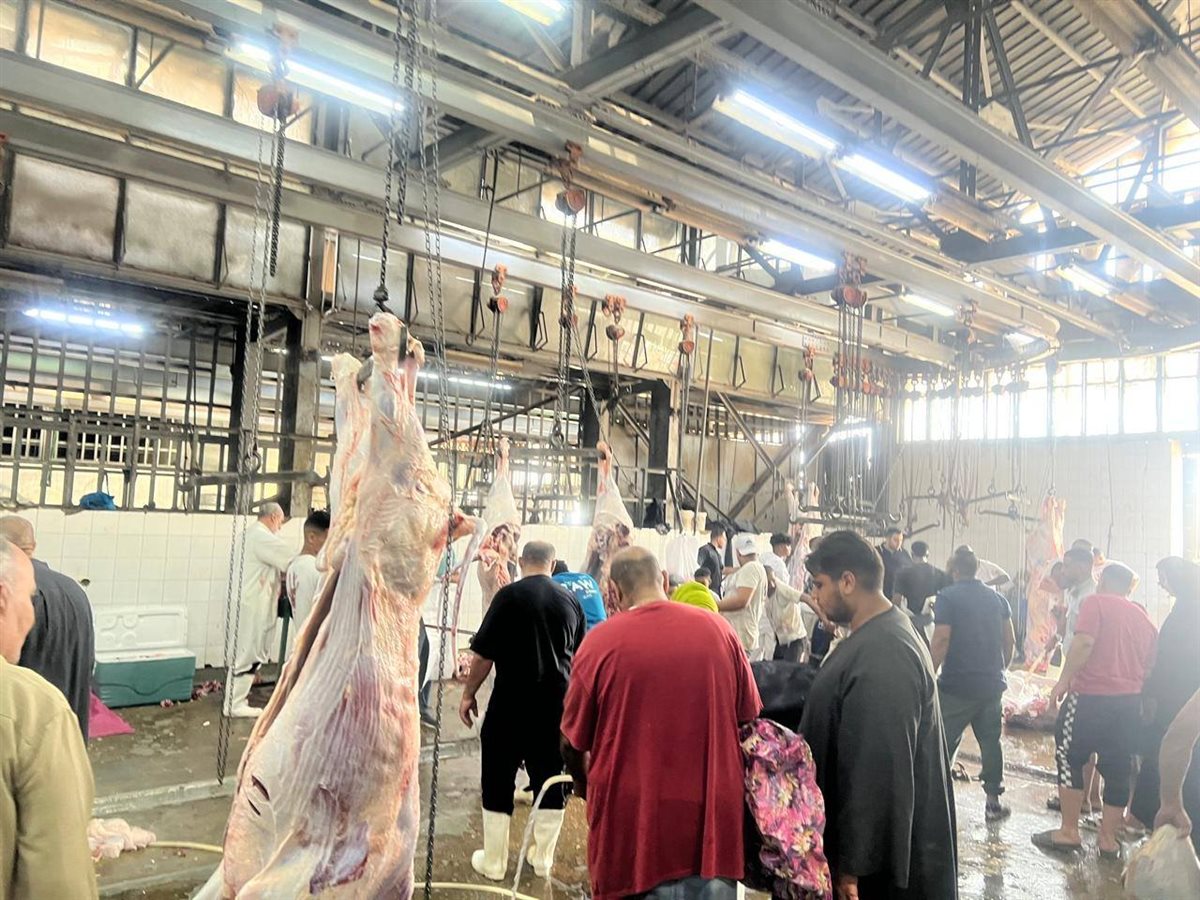 المجازر الحكومية