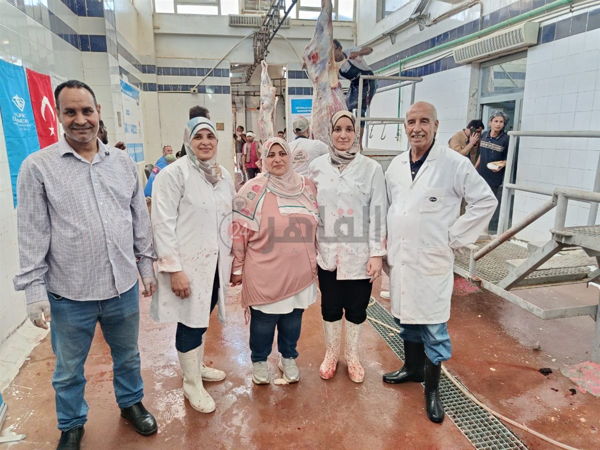 بيطريات البحر الأحمر داخل مجازر الغردقة 