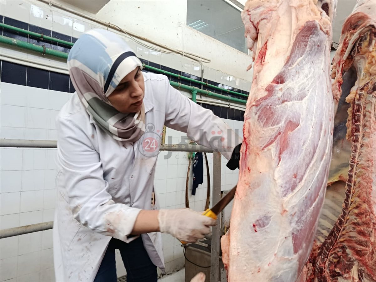 بيطريات البحر الأحمر داخل مجازر الغردقة 