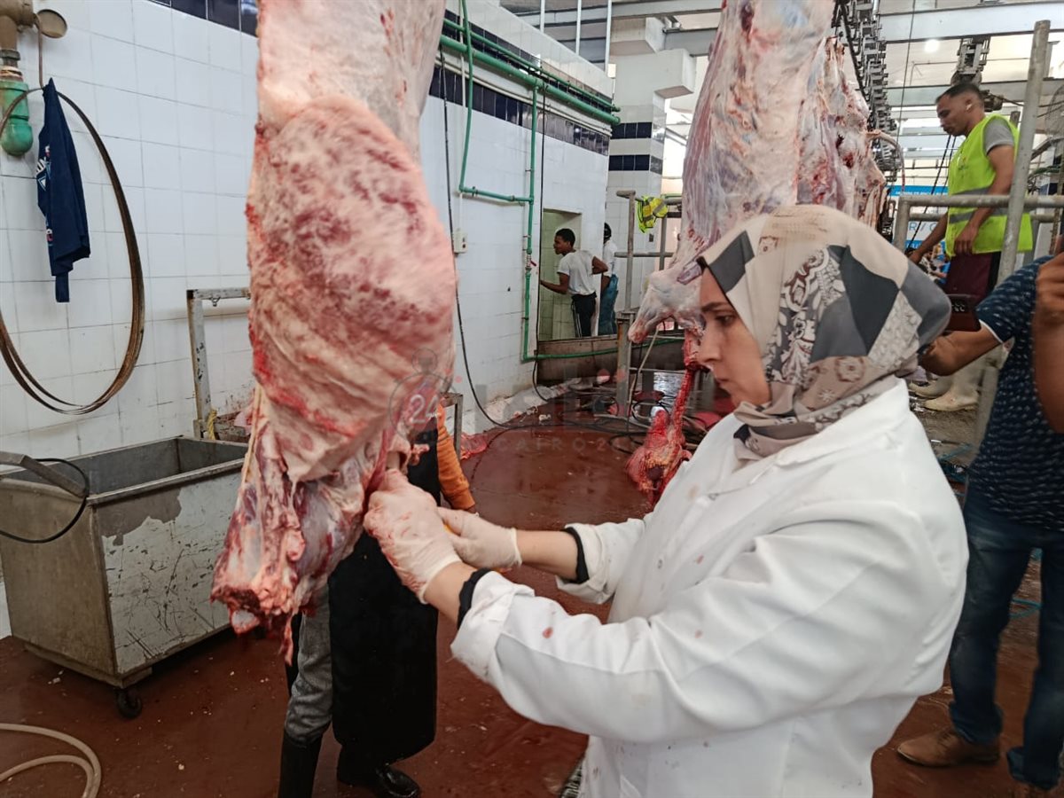 بيطريات البحر الأحمر داخل مجازر الغردقة 