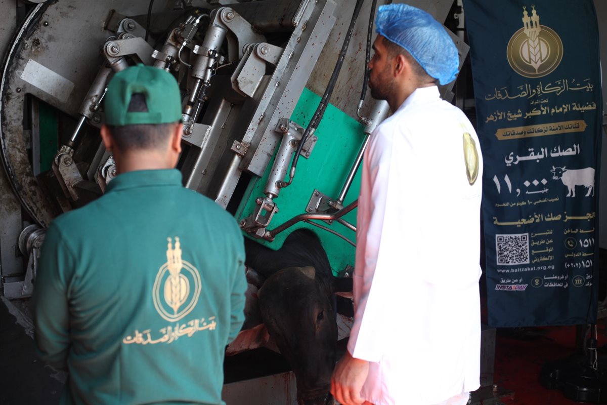 بيت الزكاة والصدقات