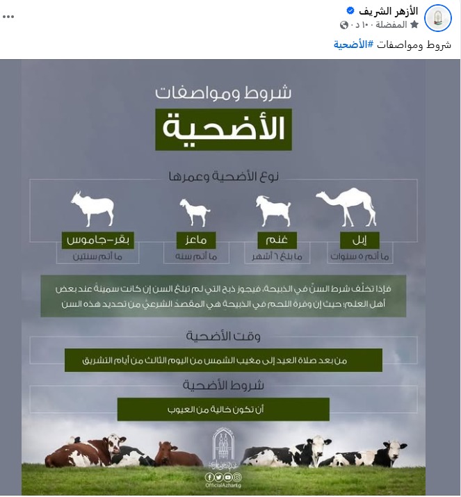 قبل ساعات من صلاة عيد الأضحى.. شروط ومواصفات الأضحية من الأبل والبقر والماعز والغنم