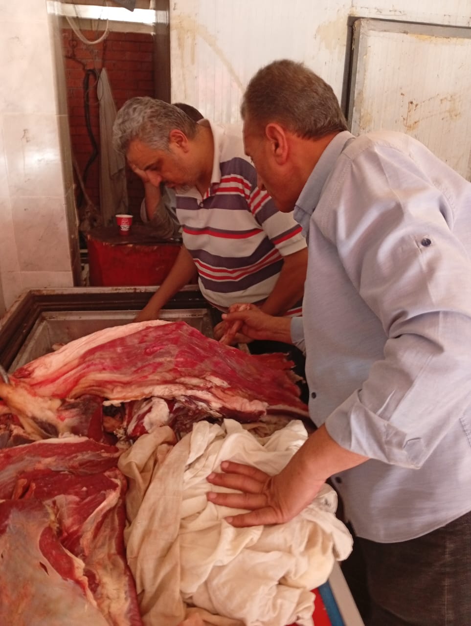 جانب من الحملة 