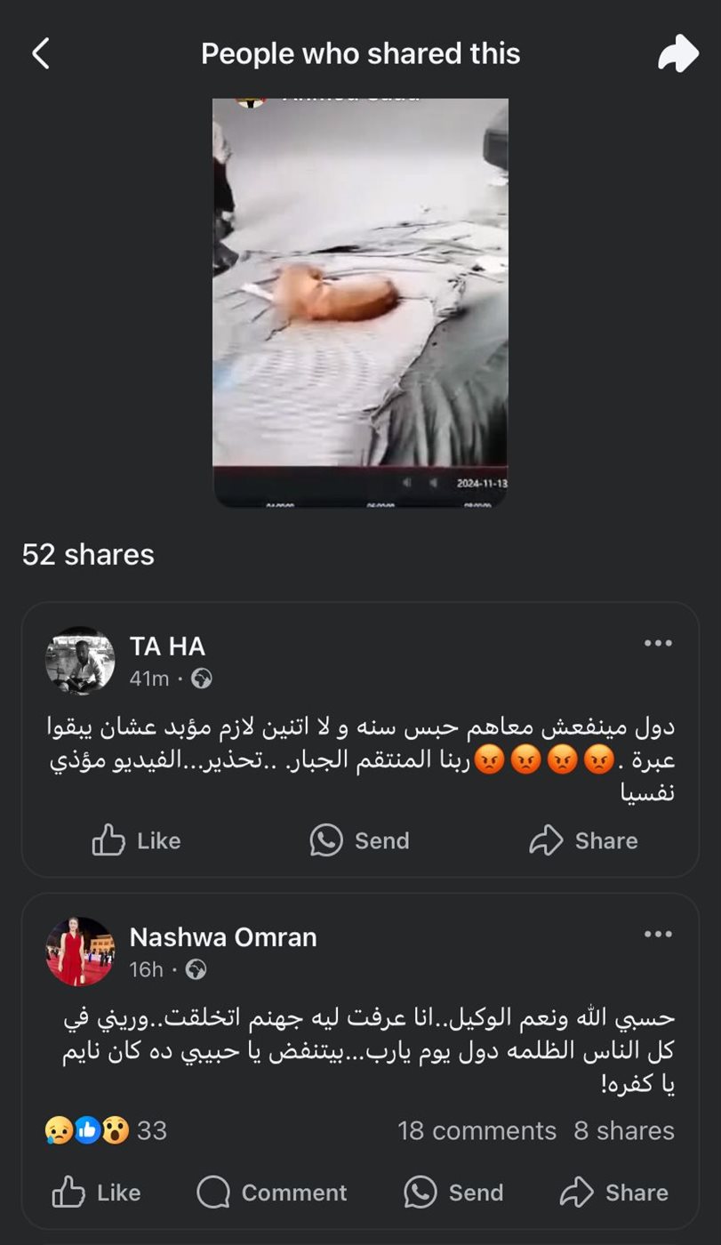 فيديو التعدي بالضرب على كلب