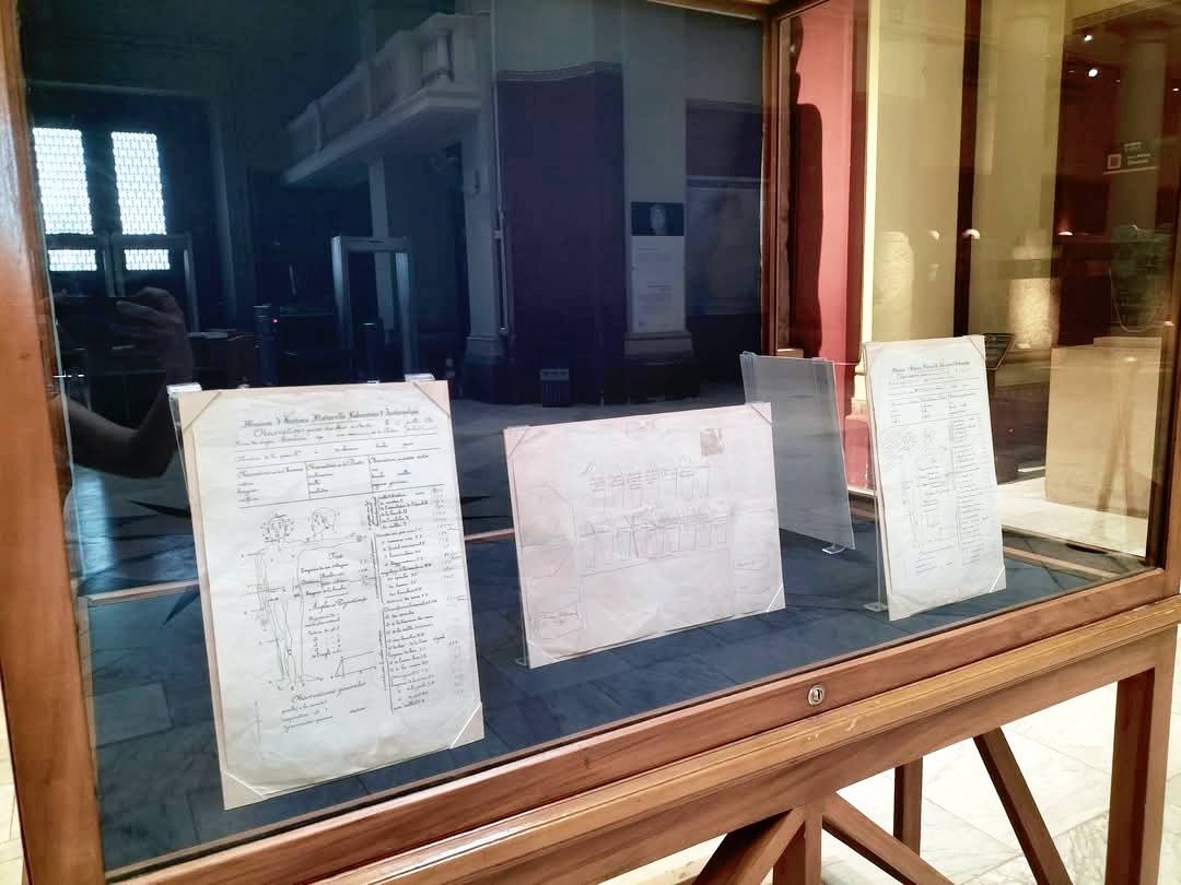 السجلات العلمية الأولى للمومياوات الملكية