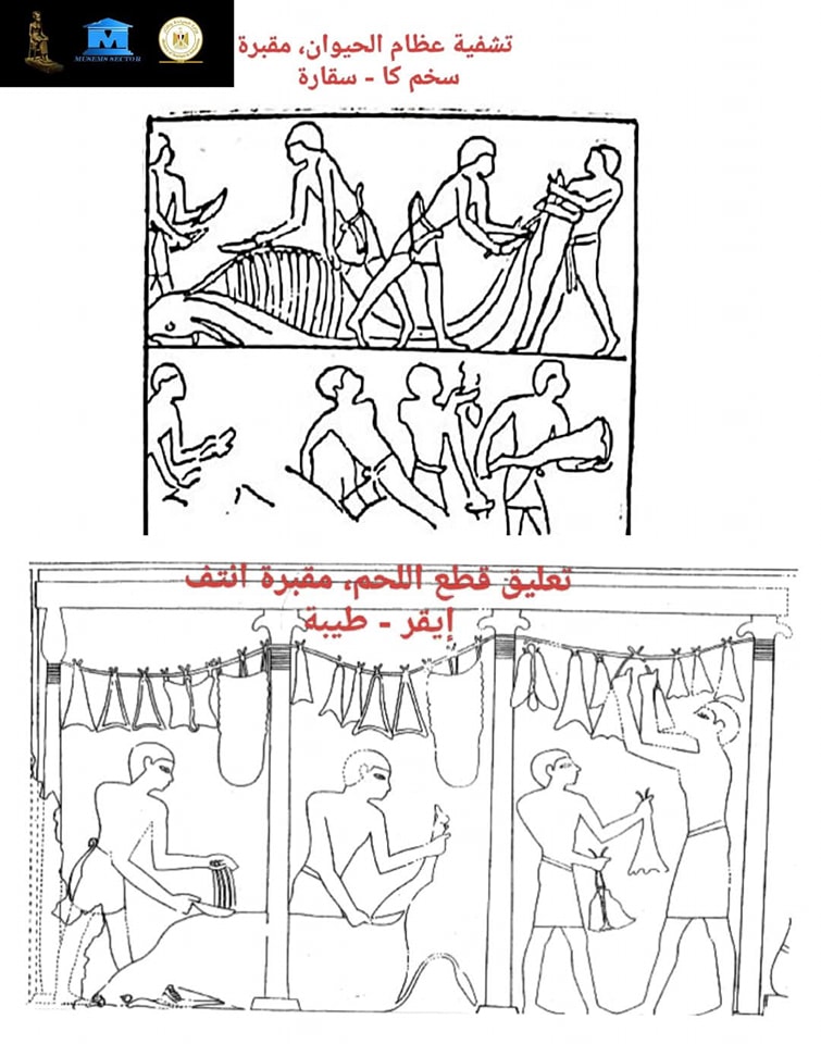 الثروة الحيوانية لخدمة الدين والغذاء