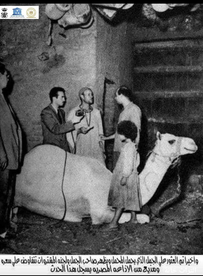 الجمل مبروك