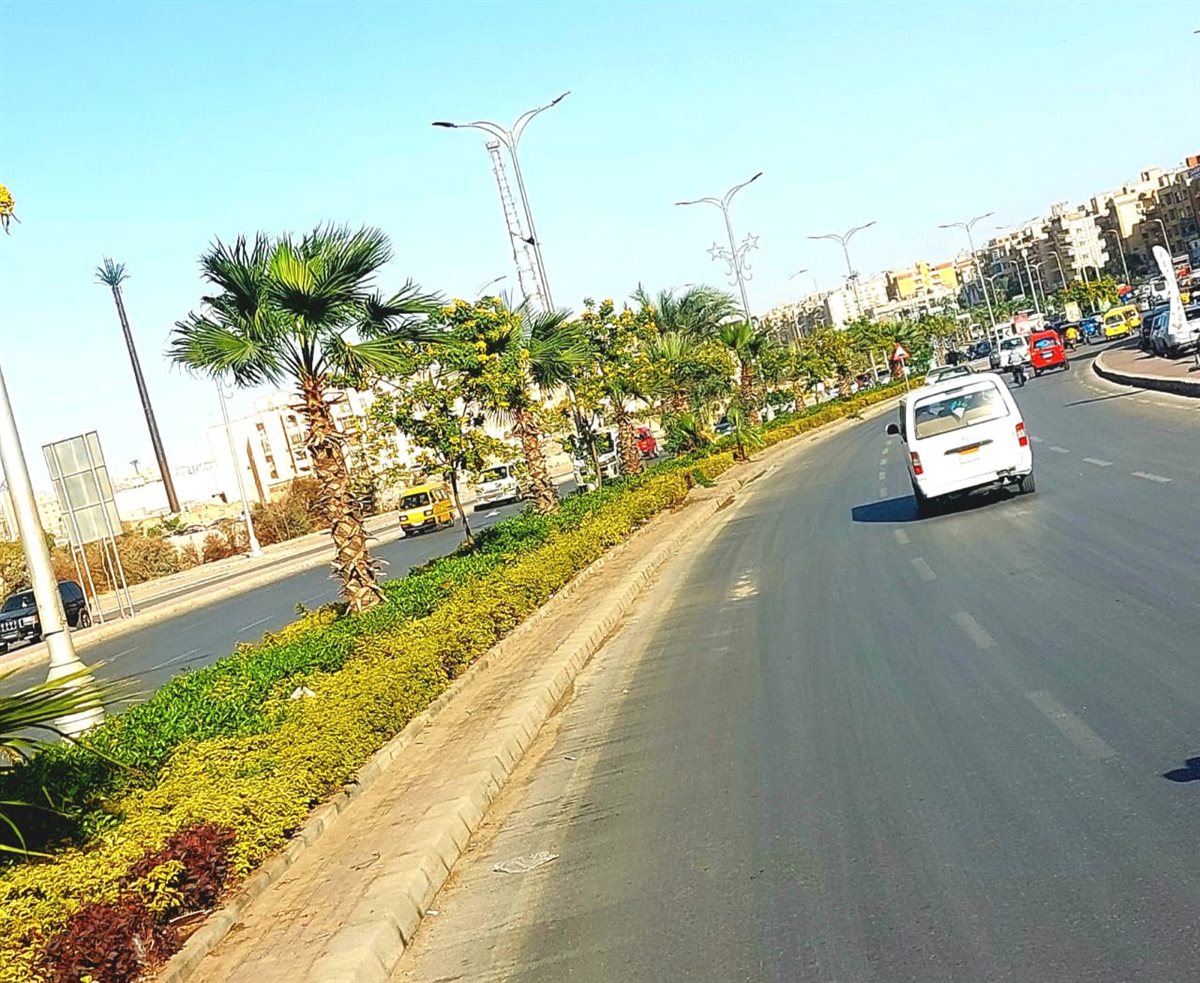 زراعات مدينة أكتوبر 