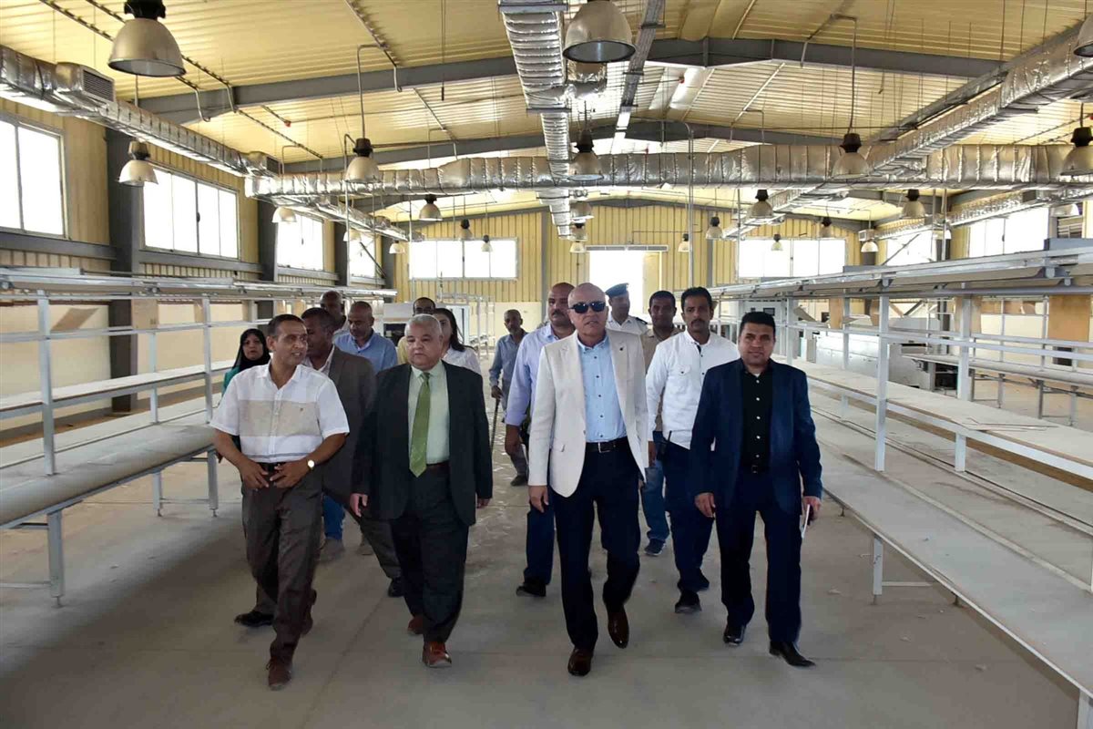 محافظ الأقصر يتفقد مدرسة العديسات الصناعية