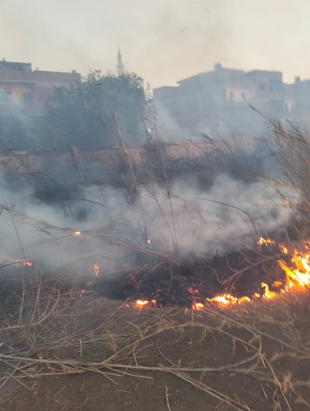 جانب من الحريق 