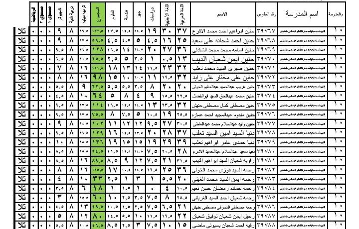 نتيجة الشهادة الاعدادية 2025 محافظة القاهرة - تعبيرية