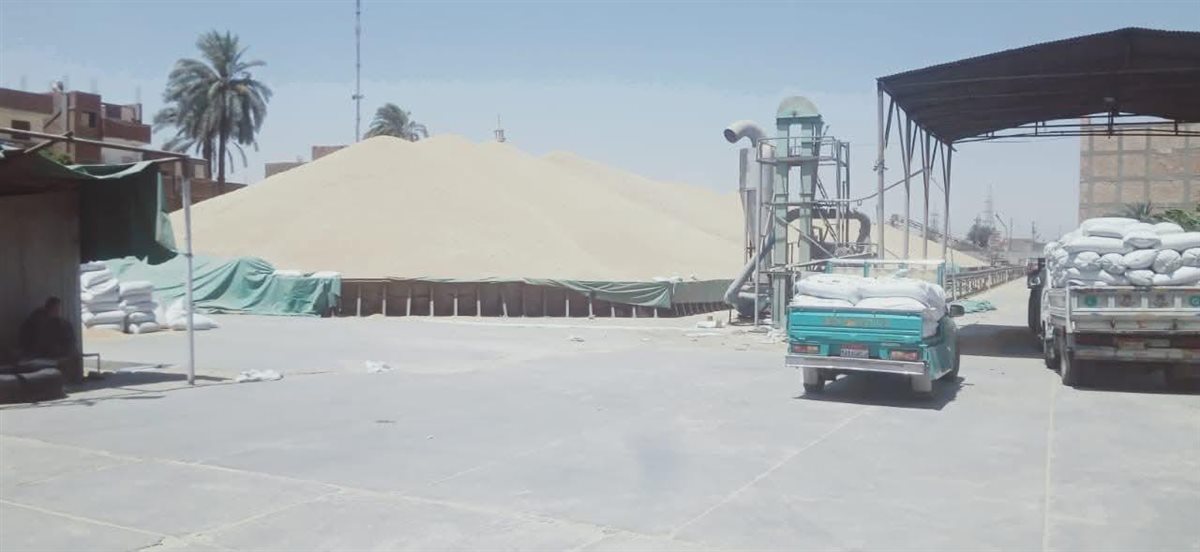 توريد القمح