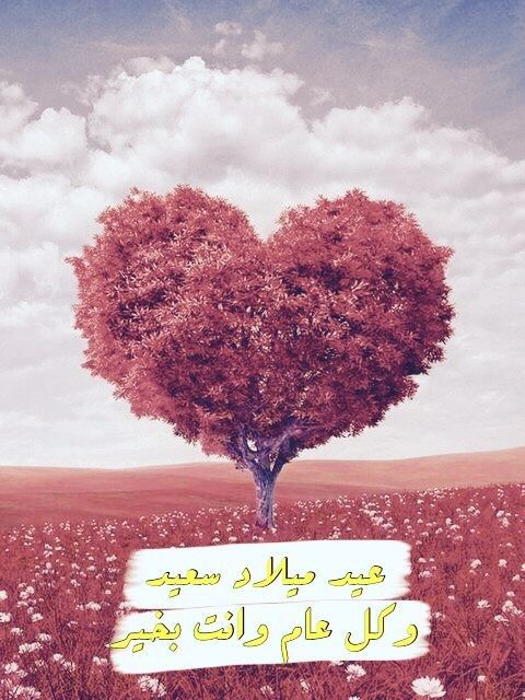 تهنئة عيد ميلاد مكتوبة