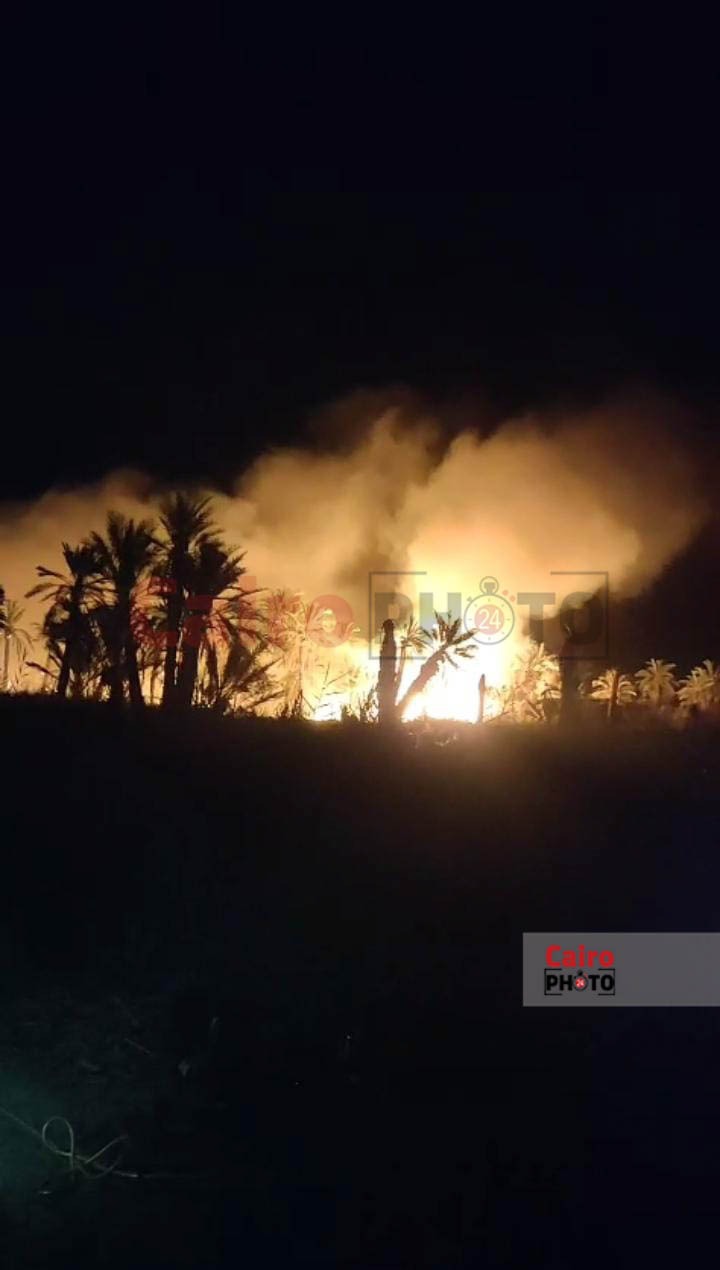 حريق داخل مزرعة تمور بواحة سيوة