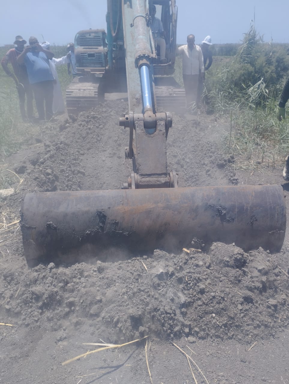 الجهود التنفيذية ببورسعيد 