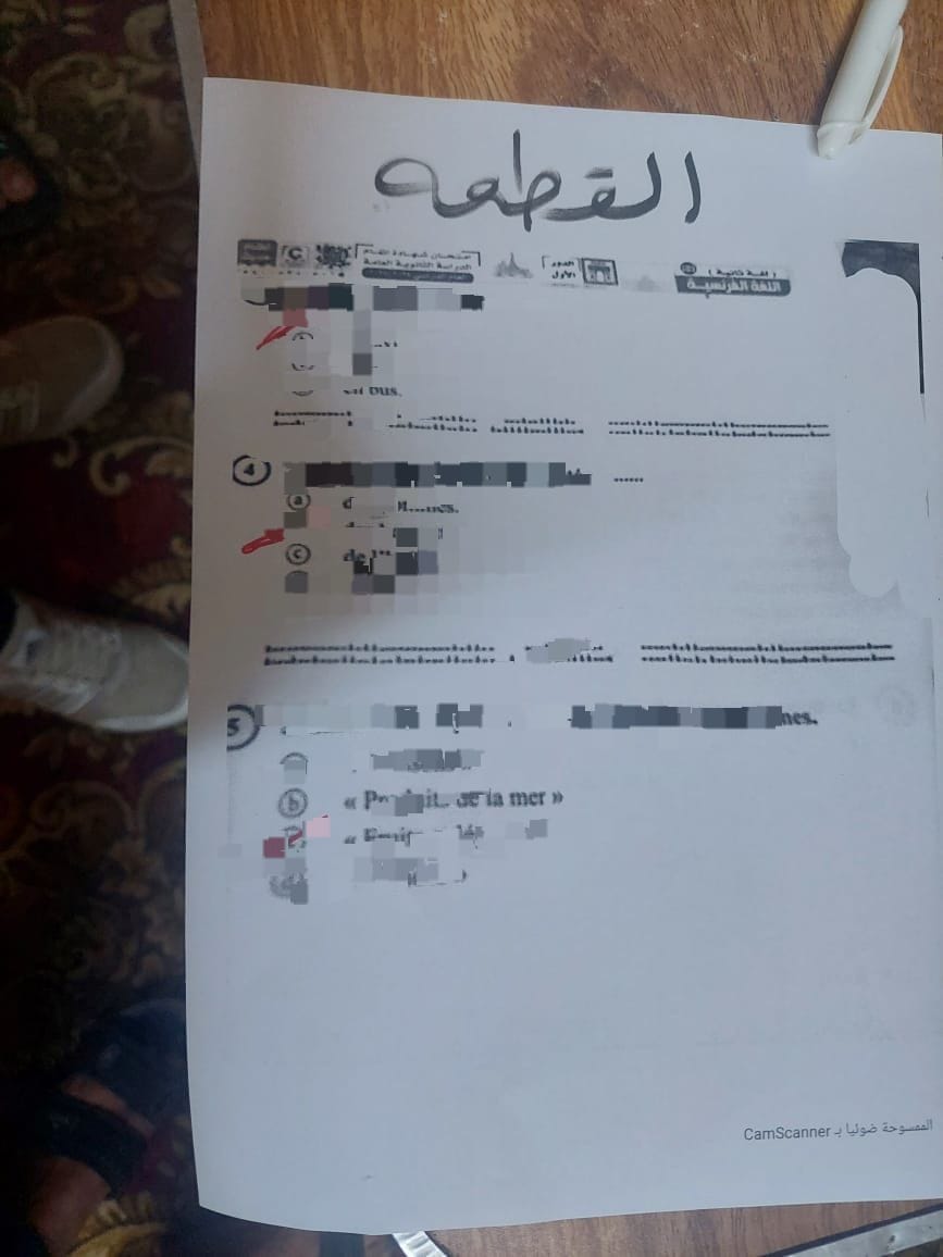 الصورة المتداولة لامتحان الفرنساوي الثانوية العامة 