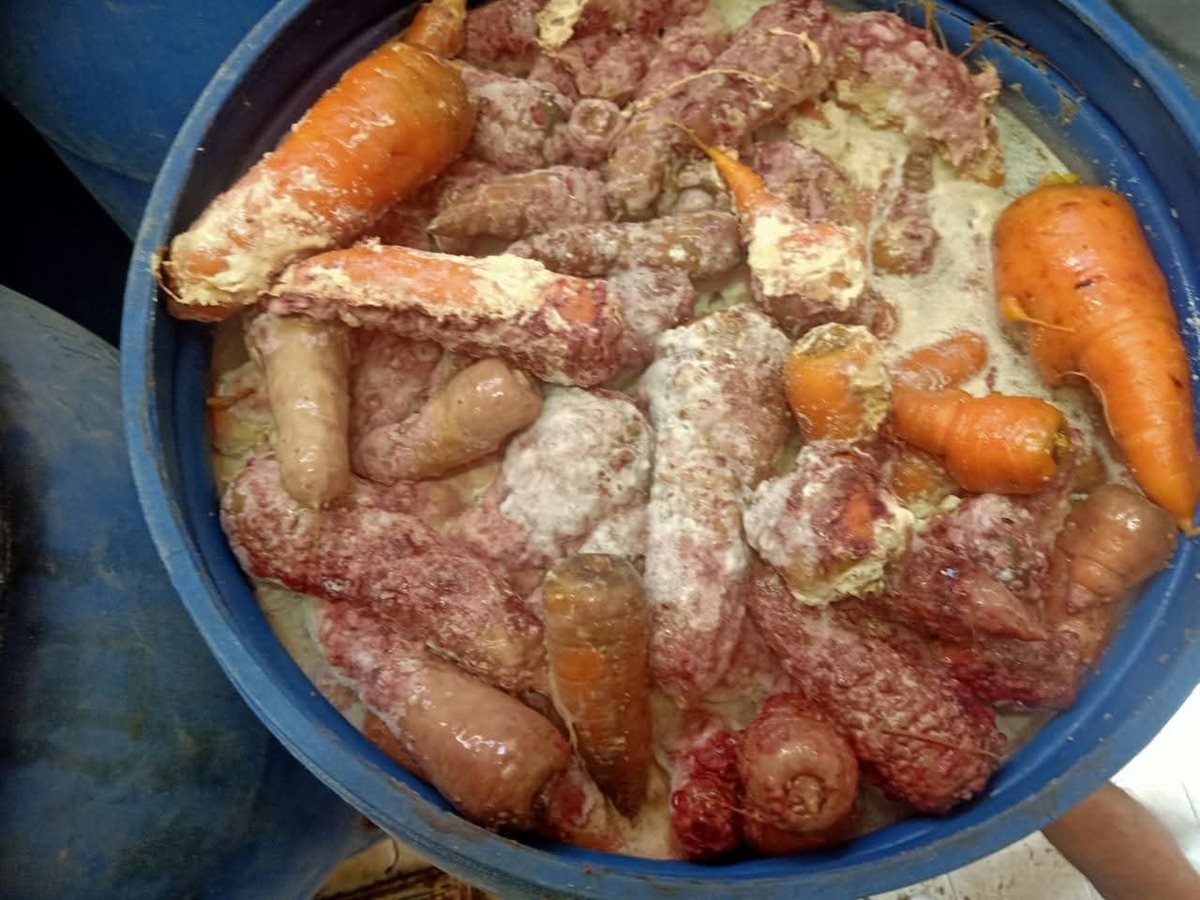 جانب من المضبوطات 