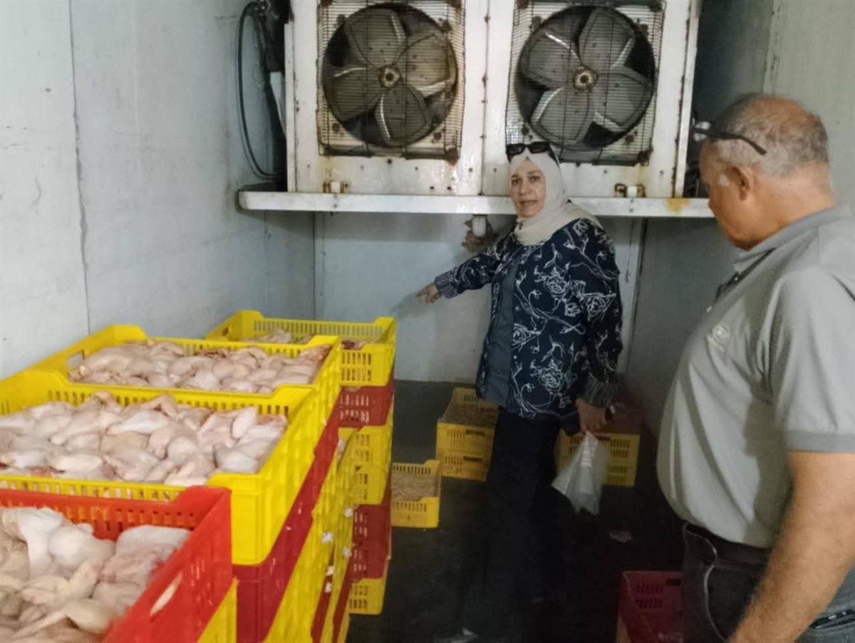 بيطري دمياط يضبط 5 أطنان دواجن وفيليه غير صالحة للاستهلاك الآدمي