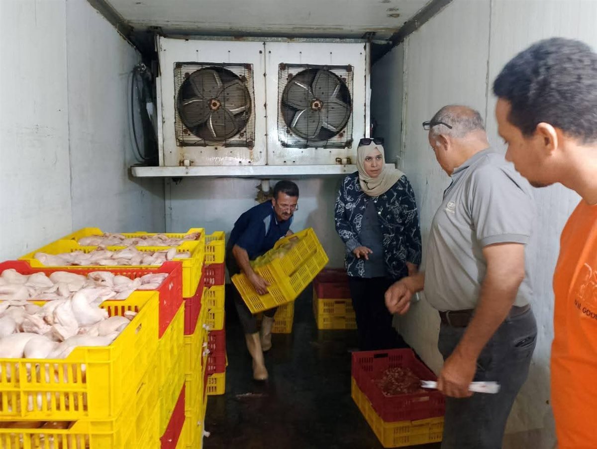 بيطري دمياط يضبط 5 أطنان دواجن وفيليه غير صالحة للاستهلاك الآدمي