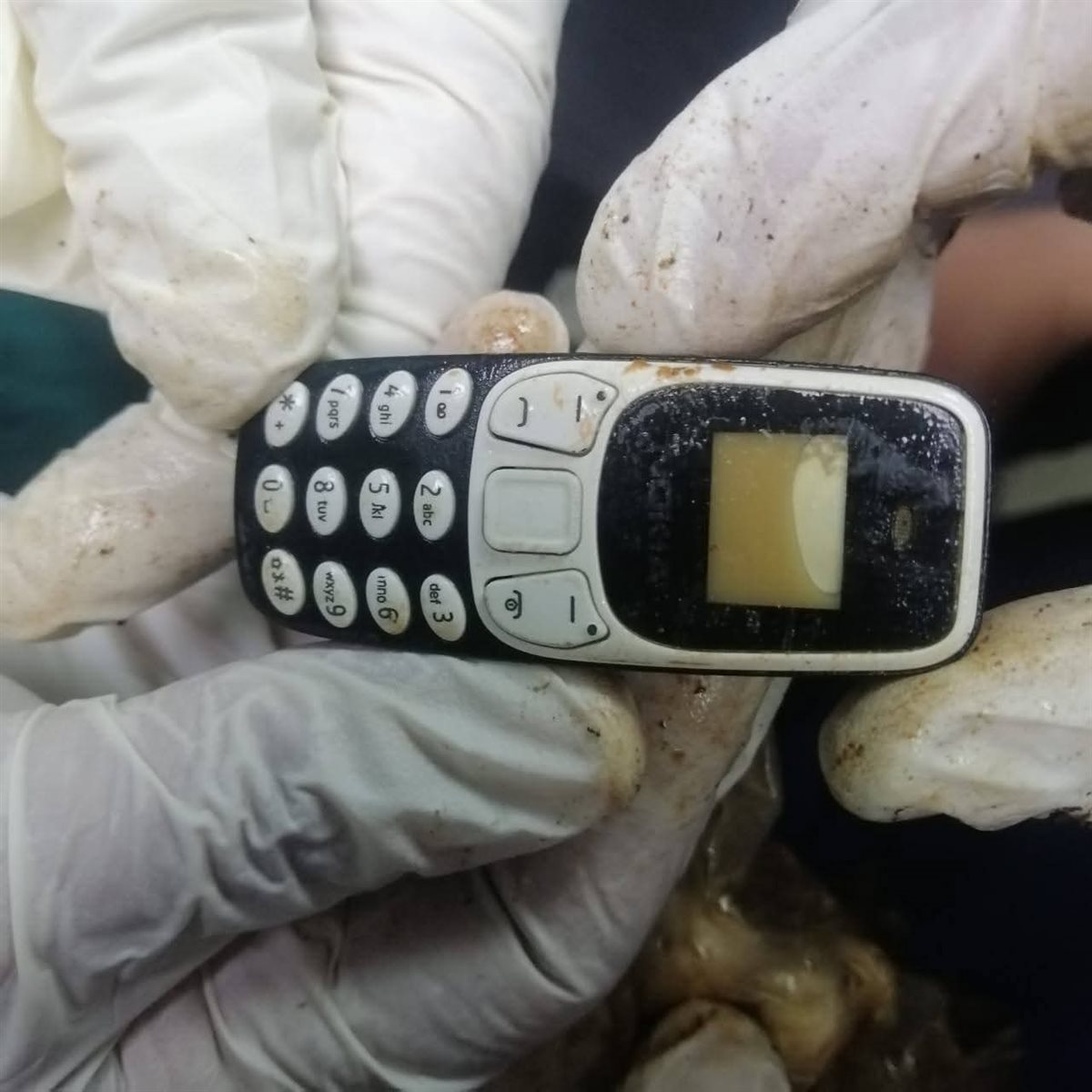 الهاتف المحمول