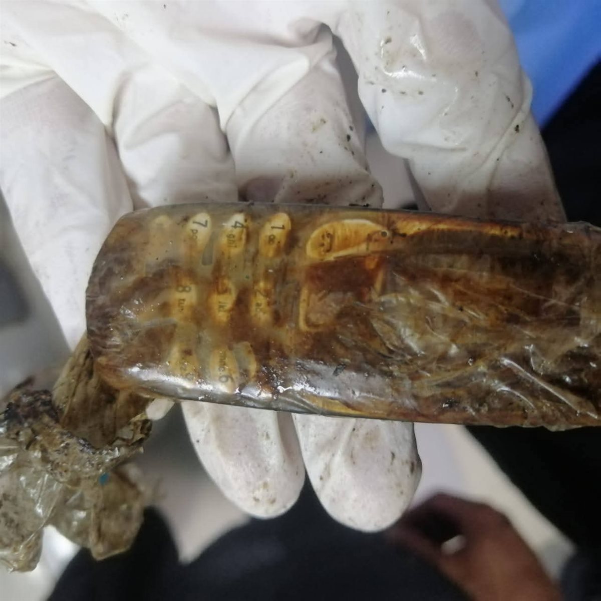 الهاتف المحمول