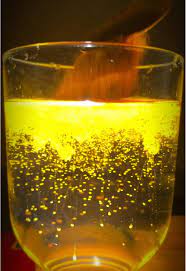 صور ترند الكركم