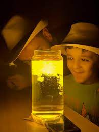 صور ترند الكركم