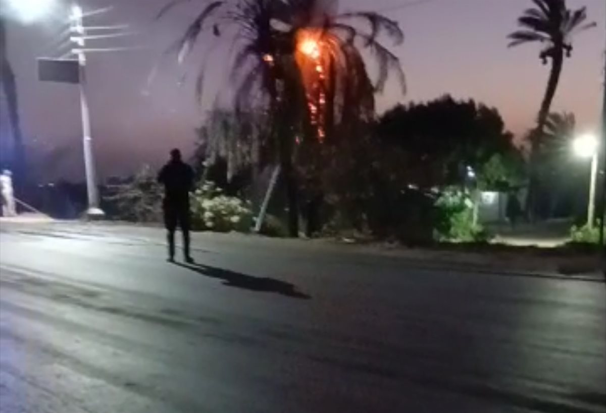 السيطرة على حريق بنخيل في الاقصر