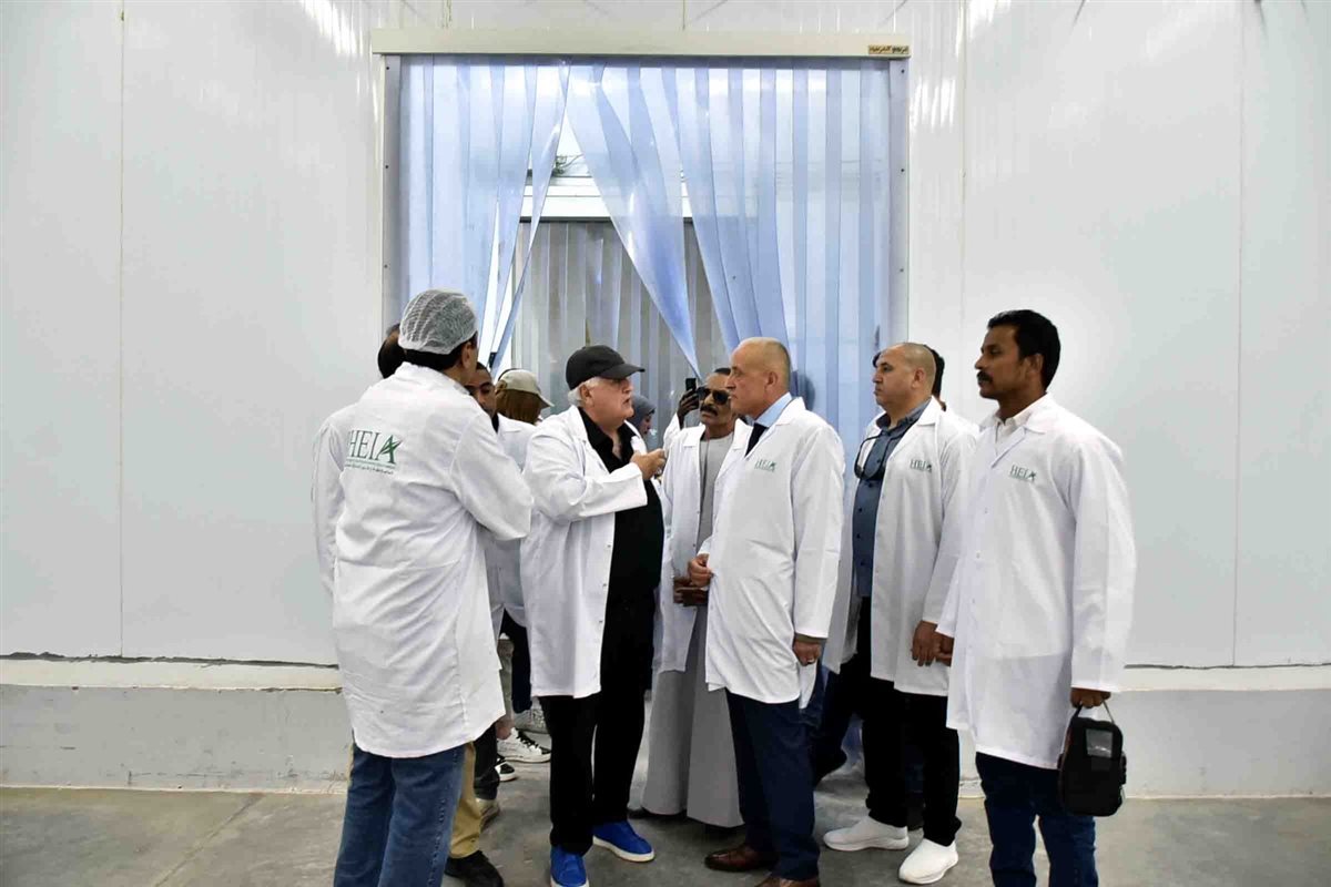 جولة محافظ الأقصر 