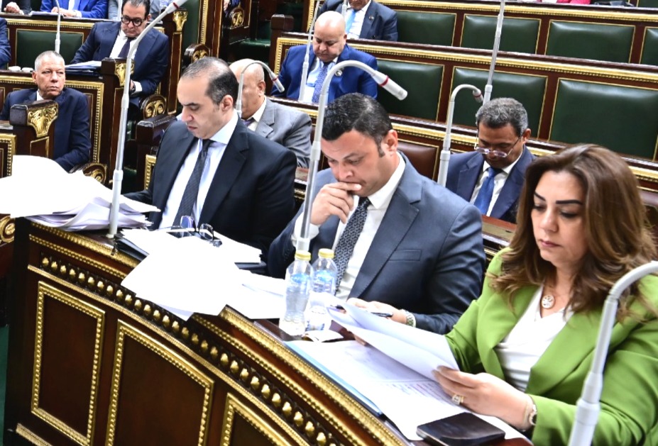 وزيرة التنمية المحلية بمجلس النواب