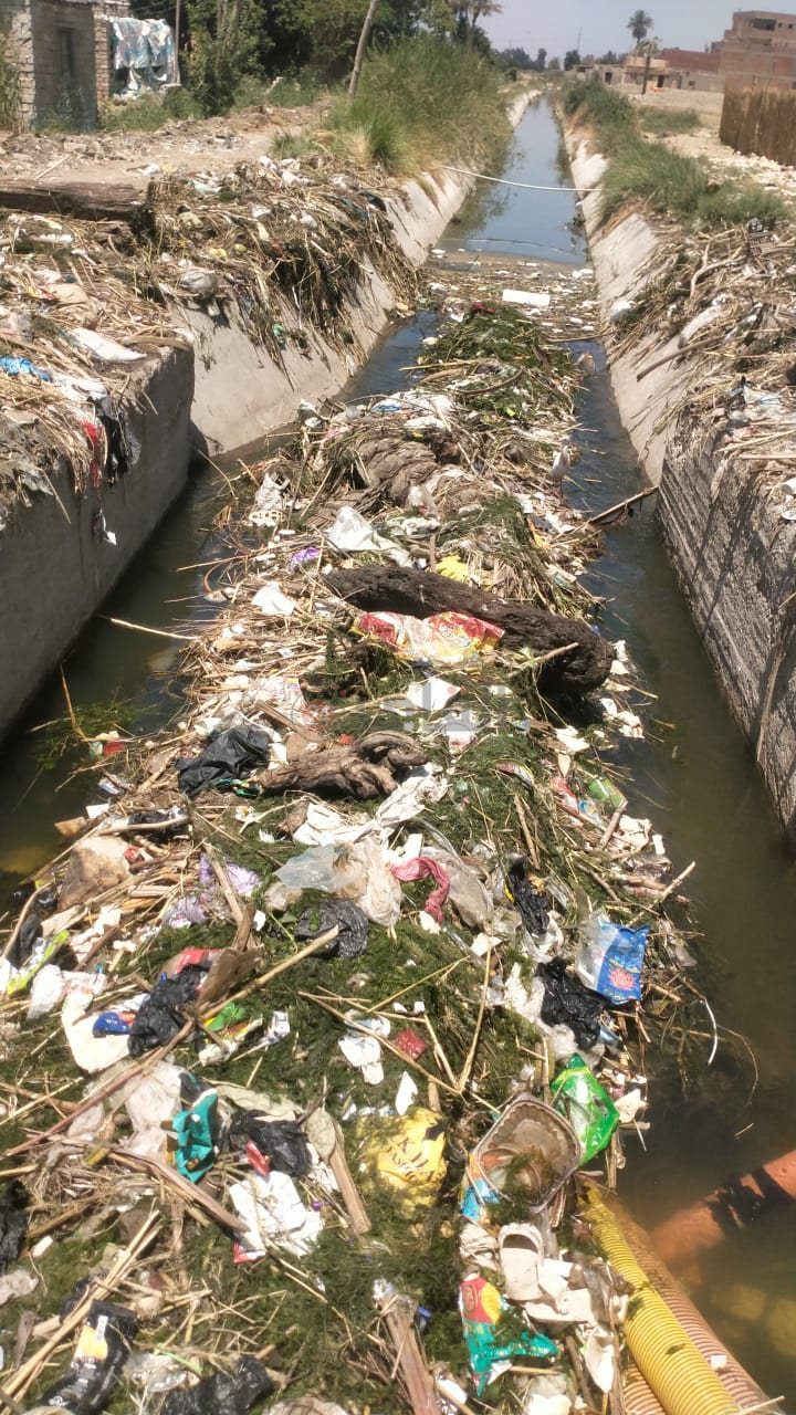 معاناة مزارعي طاميه بالفيوم: بحر العيوج يتحول إلى ملقاة للنفايات يهدد 800 فدان بالبوار