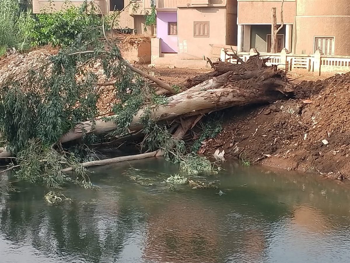 التعامل مع مياه الأمطار في المنوفية 