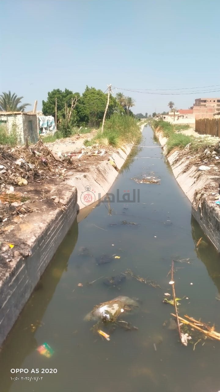 بعد عمليه التطهير