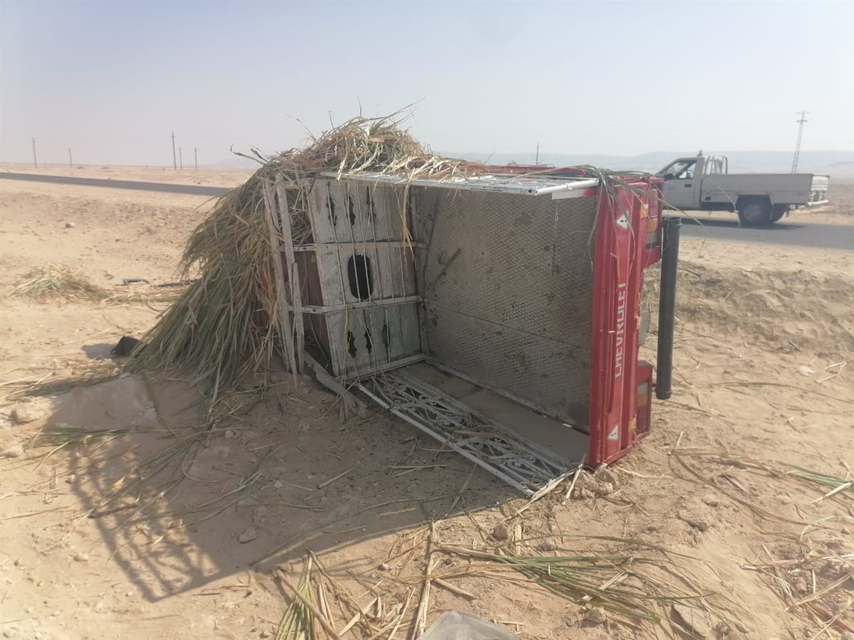 انقلاب سيارة ربع نقل محملة بالعمال بأسيوط 